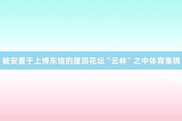 被安置于上博东馆的屋顶花坛“云林”之中体育集锦