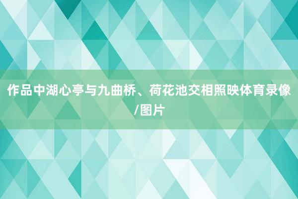 作品中湖心亭与九曲桥、荷花池交相照映体育录像/图片