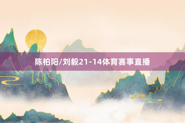 陈柏阳/刘毅21-14体育赛事直播