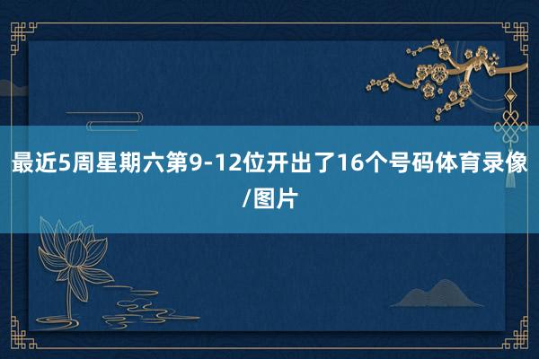 最近5周星期六第9-12位开出了16个号码体育录像/图片