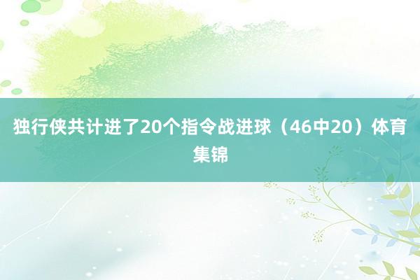 独行侠共计进了20个指令战进球（46中20）体育集锦