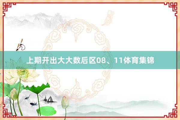 上期开出大大数后区08、11体育集锦