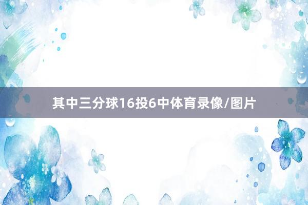 其中三分球16投6中体育录像/图片