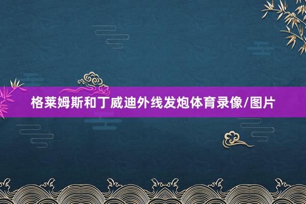 格莱姆斯和丁威迪外线发炮体育录像/图片