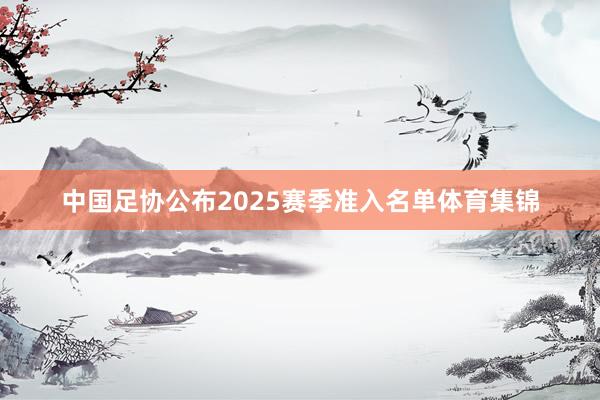 中国足协公布2025赛季准入名单体育集锦