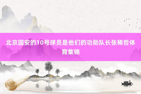 北京国安的10号球员是他们的功勋队长张稀哲体育集锦