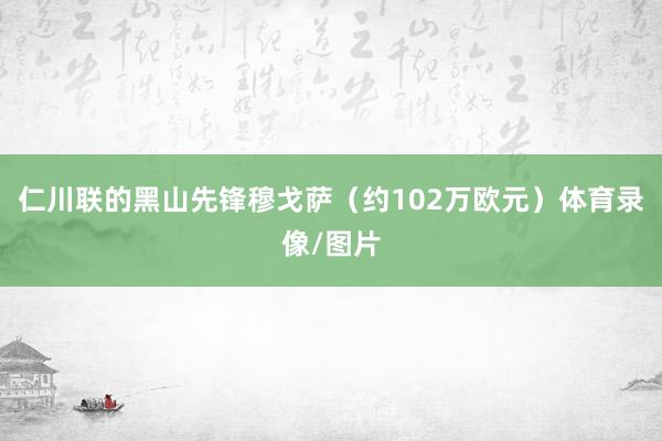 仁川联的黑山先锋穆戈萨（约102万欧元）体育录像/图片