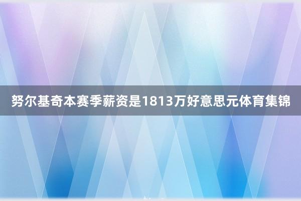 努尔基奇本赛季薪资是1813万好意思元体育集锦