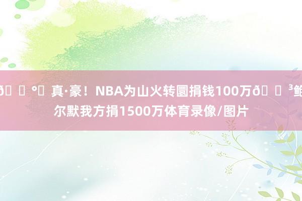 💰️真·豪！NBA为山火转圜捐钱100万😳鲍尔默我方捐1500万体育录像/图片