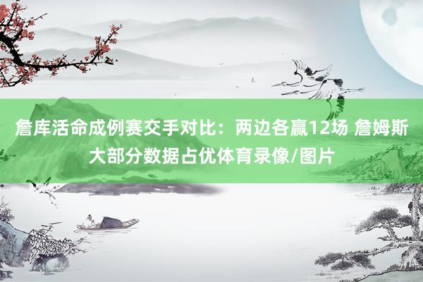 詹库活命成例赛交手对比：两边各赢12场 詹姆斯大部分数据占优体育录像/图片