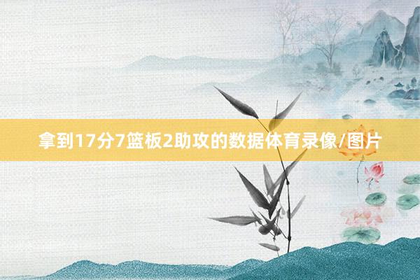 拿到17分7篮板2助攻的数据体育录像/图片