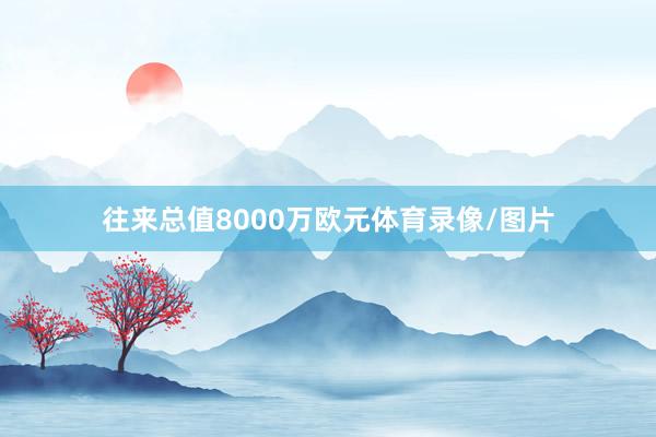 往来总值8000万欧元体育录像/图片