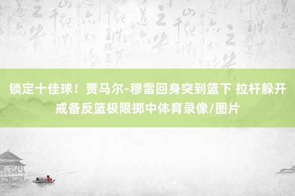 锁定十佳球！贾马尔-穆雷回身突到篮下 拉杆躲开戒备反篮极限掷中体育录像/图片